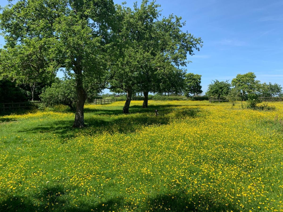 Beautiful Rural Apt, Walking Distance To Three Choirs Vineyard/Brassiere Gloucestershire Lejlighed Newent Eksteriør billede